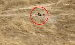 Uygunsuz hareketler sergileyen iki genç gözaltına alındı