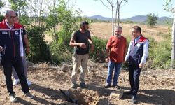 Edirne'de sera yatırımlarıyla tarımsal üretim kapasitesi artırılıyor