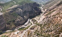 Artvin'de dron kamerasına akbaba takıldı