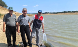 Lüleburgaz’da Yavru Balık Salım İşlemleri Yapıldı