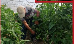 Kırklareli’nde Saha Kontrolleri Sürüyor
