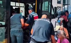 Çanakkale'de çıkan orman yangınlarına jandarma müdahalesi