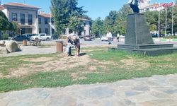 Özgürlük ve Demokrasi Meydanı’nda Kuşlar İçin Örnek Davranış