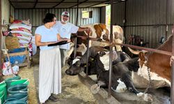 Kırklareli’nde Kırsal Kalkınma Destekleri Kontrol Ediliyor