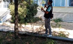 Okullarda ve Parklarda Bakım Çalışmaları Sürüyor