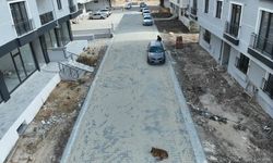 Başkan Çamlıca: “Büyükkarıştıran İçin En İyisini Yapıyoruz”