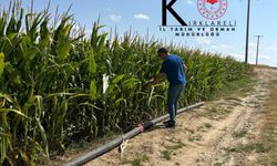 Lüleburgaz’da Silajlık Mısır Kontrolleri Yapıldı