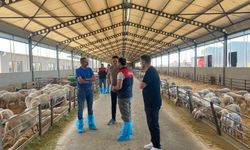 Kaymakam Özderin’den Hayvancılık İşletmesine Ziyaret