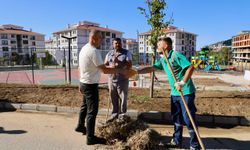 Başkan Bulut’tan Şehit Anıl Yalap Parkı’na İnceleme