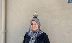 Torunu için sahiplendi, papağan çocuğu gibi oldu