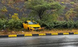Alaplı'da ticari taksi aydınlatma direğine çarptı: 1 yaralı