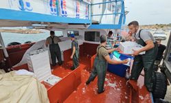 Balık fiyatları 1 ay sonra ucuzlayacak
