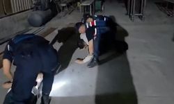 Konteynere iklimlendirme sistemi kurup uyuşturucu yetiştirdiler