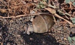İznik Gölü kıyısında el bombası paniği