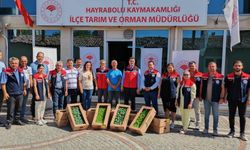 Hayrabolu'da üreticilere kışlık fide desteği