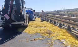 Kamyonet bariyerlere çarptı, kilolarca patates yola saçıldı
