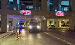 Edirne'de aile faciası: 4 yaralı
