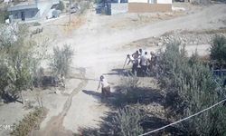 Kafası taşla ezilmek istenen baygın kocasını saldırganlara taş atarak kurtardı