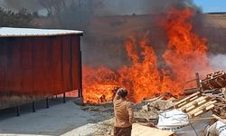 Tekirdağ'da palet fabrikasından alevler yükseldi: Yüzlerce palet alev alev yandı