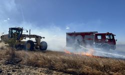 Tekirdağ'da 500 dönüm anız küle döndü