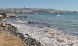 Tekirdağ'da poyraz fırtınası kıyılarda kızıl yosunlara neden oldu