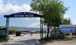 Şap hastalığı sebebiyle Büyükşehir Hayvan Pazarı kapatıldı