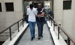 Polisi gören firari, çimlere yatıp ölü taklidi yaptı