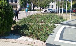 Kırklareli Belediyesi’nden Şehre Estetik Katkı: Peyzaj Çalışmaları Dikkat Çekiyor
