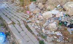 Kırklareli Merkez’de Çevre Kirliliği Tepki Çekiyor