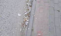 Karakaş Mahallesi’nde Çevre Kirliliği Tepki Çekiyor