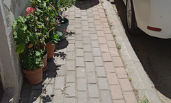 Kırklareli’nde Kaldırımlar Saksı Çiçekleriyle Renklendi