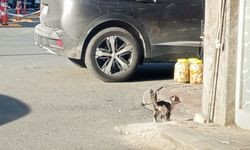 Kırklareli Sokaklarında Bir Yalnızlık Karesi