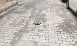 Kırklareli’nde Yolda Yeniden Göçük Oluştu