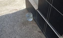 Kırklareli’nde Sokak Hayvanları İçin Duyarlı Davranış