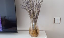 Kırklareli’nde Ev Dekorasyonunda Lavanta Şıklığı