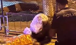 İzmir'deki bıçaklı dehşette cinayet şüphelisi tutuklandı