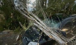 Üzerine ağaç dalı düşen araç kullanılamaz hale geldi