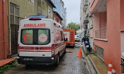 Edirne'de baca yangını korkuttu