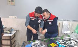 Hayrabolu'da balık satış yerleri denetlendi