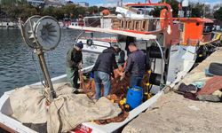 Tekirdağ'da ağlara takılan lüfer yüzleri güldürdü
