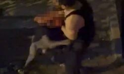 Bahçelievler’de pitbull cinsi köpek sahibine saldırdı: Dehşet anları kamerada