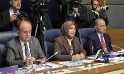 Milli Parklar’a ilişkin kanun teklifi Komisyon'da
