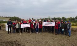 Babaeski'de Çeltik Tarla Günü etkinliği düzenlendi