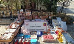 Ankara'da bir iş yerinde bin 200 kilogram bozuk et ve tavuk ele geçirildi