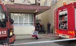 Antalya'da yangın çıkan evdeki muhabbet kuşunu itfaiye kurtardı