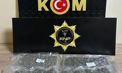 Kırklareli'nde 1 kilo 170 gram skunk ele geçirildi