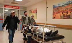 Mantar yedi hastanelik oldu