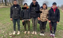 Kırklareli'nde 5 kaçak göçmen yakalandı