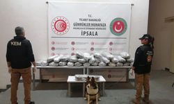 Kapıkule ve İpsala sınır kapılarında zehir tacirlerine darbe