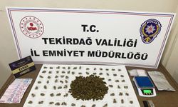 Tekirdağ'da torbacılara geçit yok: 12 kişi tutuklandı
